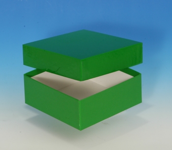 Produktfoto: Kryo-Box 136 x 136 mm / 50 mm hoch - Farbe: grün